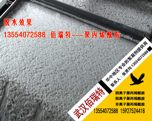 聚丙烯酰胺--化工污泥脱带式压滤机出泥口效果