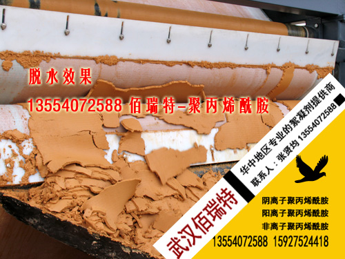 聚丙烯酰胺---铁矿选洗底泥带式压滤机脱水效果