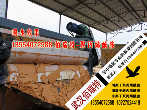 聚丙烯酰胺---铁矿选洗底泥带式压滤机脱水效果