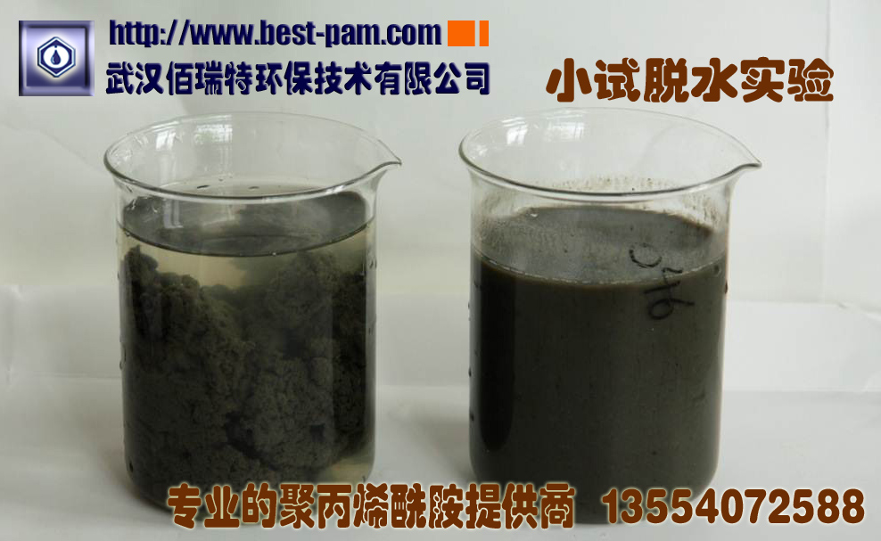 聚丙烯酰胺在屠宰行业污泥中的使用效果