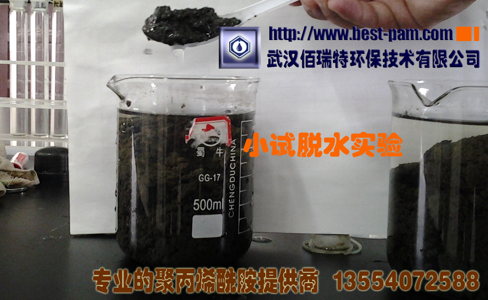 聚丙烯酰胺---啤酒厂污泥烧杯选型实验