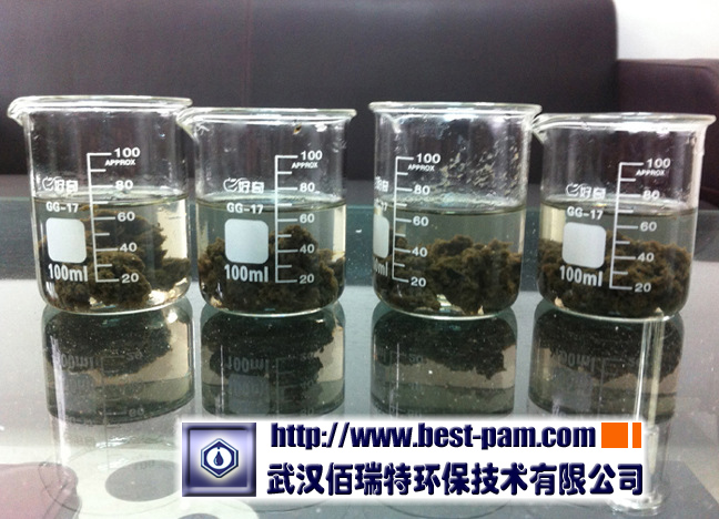 市政污水处理厂剩余活性污泥，阳离子聚丙烯酰胺烧杯小试效果