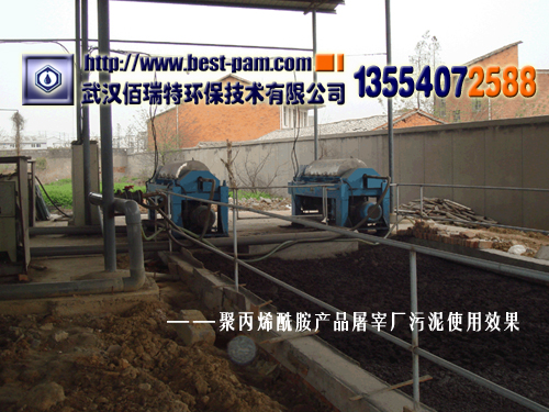 聚丙烯酰胺产品屠宰厂污泥使用效果