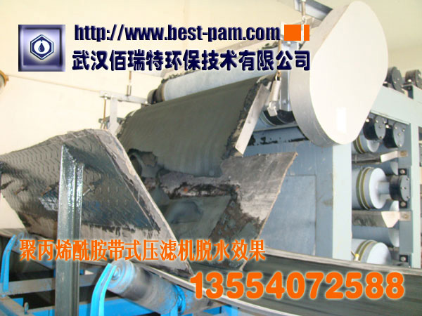 阳离子聚丙烯酰胺脱水效果