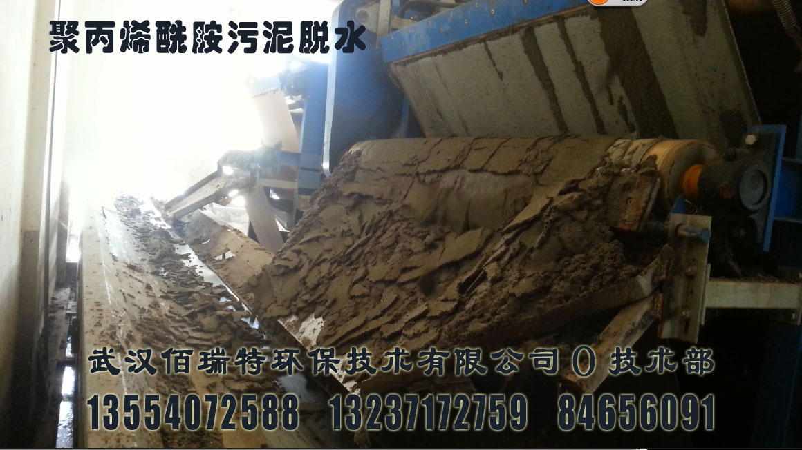 聚丙烯酰胺污泥脱水